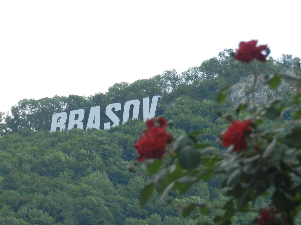 Hôtel La Vita E Bella à Braşov Extérieur photo